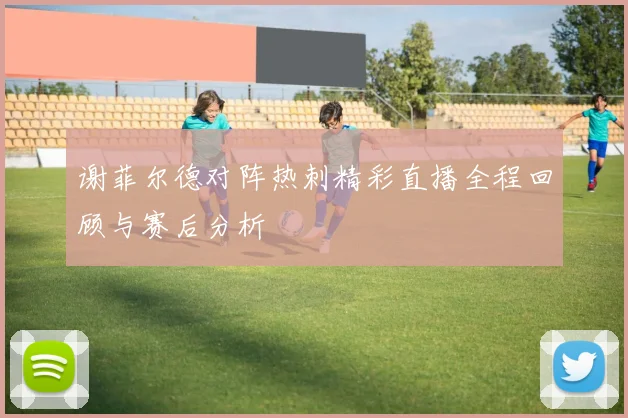 谢菲尔德对阵热刺精彩直播全程回顾与赛后分析