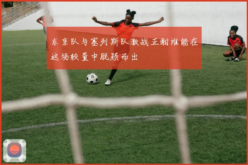 东京队与塞列斯队激战正酣谁能在这场较量中脱颖而出