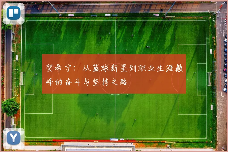 贺希宁：从篮球新星到职业生涯巅峰的奋斗与坚持之路