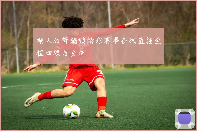 湖人对阵鹈鹕精彩赛事在线直播全程回顾与分析