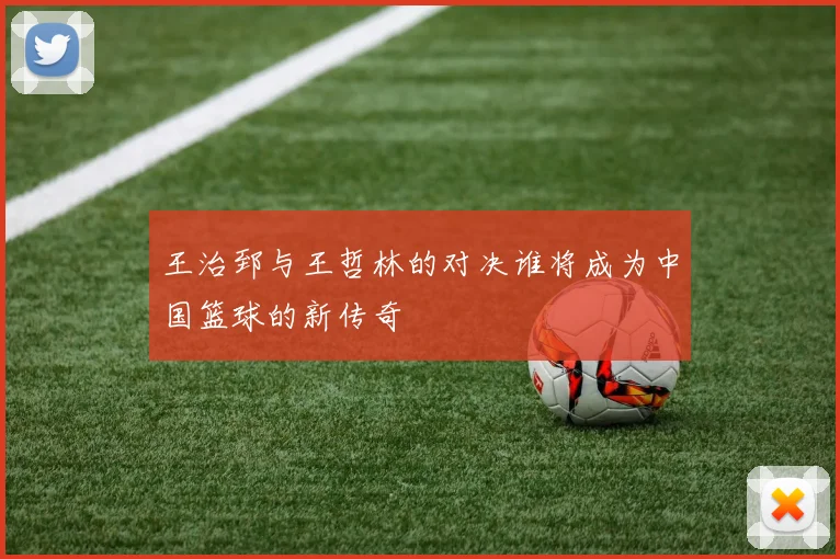 王治郅与王哲林的对决谁将成为中国篮球的新传奇